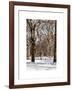 Winter Snow in Central Park-Philippe Hugonnard-Framed Art Print