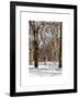 Winter Snow in Central Park-Philippe Hugonnard-Framed Art Print