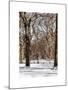 Winter Snow in Central Park-Philippe Hugonnard-Mounted Art Print