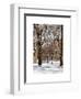 Winter Snow in Central Park-Philippe Hugonnard-Framed Art Print