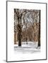 Winter Snow in Central Park-Philippe Hugonnard-Mounted Art Print