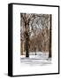 Winter Snow in Central Park-Philippe Hugonnard-Framed Stretched Canvas