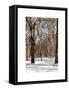 Winter Snow in Central Park-Philippe Hugonnard-Framed Stretched Canvas