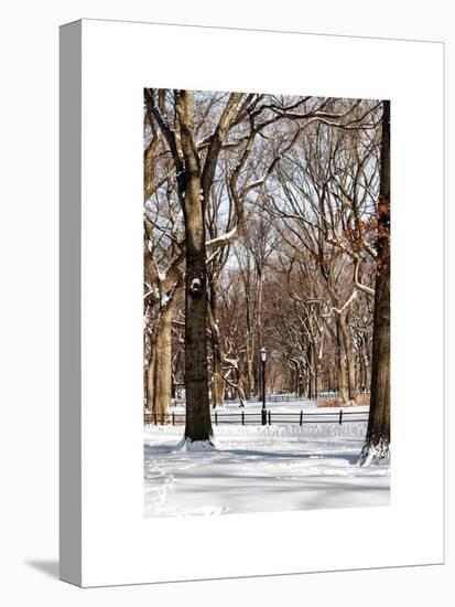 Winter Snow in Central Park-Philippe Hugonnard-Stretched Canvas