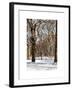 Winter Snow in Central Park-Philippe Hugonnard-Framed Art Print