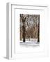 Winter Snow in Central Park-Philippe Hugonnard-Framed Art Print