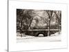 Winter Snow in Central Park-Philippe Hugonnard-Stretched Canvas