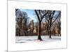 Winter Snow in Central Park-Philippe Hugonnard-Mounted Art Print