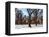 Winter Snow in Central Park-Philippe Hugonnard-Framed Stretched Canvas