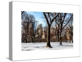 Winter Snow in Central Park-Philippe Hugonnard-Stretched Canvas