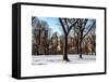 Winter Snow in Central Park-Philippe Hugonnard-Framed Stretched Canvas