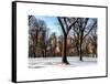 Winter Snow in Central Park-Philippe Hugonnard-Framed Stretched Canvas