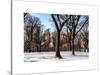 Winter Snow in Central Park-Philippe Hugonnard-Stretched Canvas