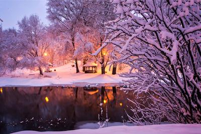 Snowy Night - Winter in New York City by Vivienne Gucwa