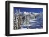 WINTER SNOW SCENE STEEPLE ROCK OLYMPIC NATIONAL PARK WASHINGTON USA-Panoramic Images-Framed Photographic Print