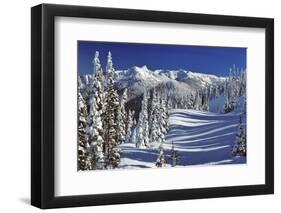 WINTER SNOW SCENE STEEPLE ROCK OLYMPIC NATIONAL PARK WASHINGTON USA-Panoramic Images-Framed Photographic Print