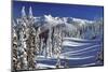 WINTER SNOW SCENE STEEPLE ROCK OLYMPIC NATIONAL PARK WASHINGTON USA-Panoramic Images-Mounted Photographic Print