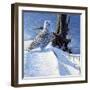 Winter Snow-Michael Budden-Framed Giclee Print