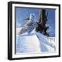 Winter Snow-Michael Budden-Framed Giclee Print