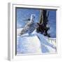 Winter Snow-Michael Budden-Framed Giclee Print