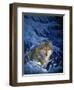 Winter - Snow-Joh Naito-Framed Premium Giclee Print