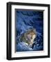 Winter - Snow-Joh Naito-Framed Premium Giclee Print