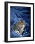 Winter - Snow-Joh Naito-Framed Giclee Print