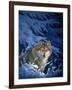 Winter - Snow-Joh Naito-Framed Giclee Print