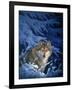 Winter - Snow-Joh Naito-Framed Giclee Print