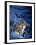 Winter - Snow-Joh Naito-Framed Giclee Print