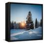 Winter Snowy Pine Trees at Sunset-Dudarev Mikhail-Framed Stretched Canvas