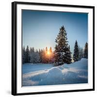 Winter Snowy Pine Trees at Sunset-Dudarev Mikhail-Framed Photographic Print