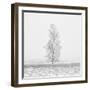 Winter Softness 2-Doug Chinnery-Framed Premium Photographic Print