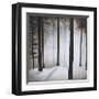 Winter Solace-Patrick St^ Germain-Framed Giclee Print