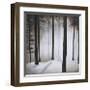 Winter Solace-Patrick St^ Germain-Framed Giclee Print