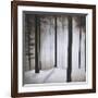 Winter Solace-Patrick St^ Germain-Framed Giclee Print