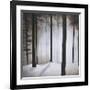 Winter Solace-Patrick St^ Germain-Framed Giclee Print