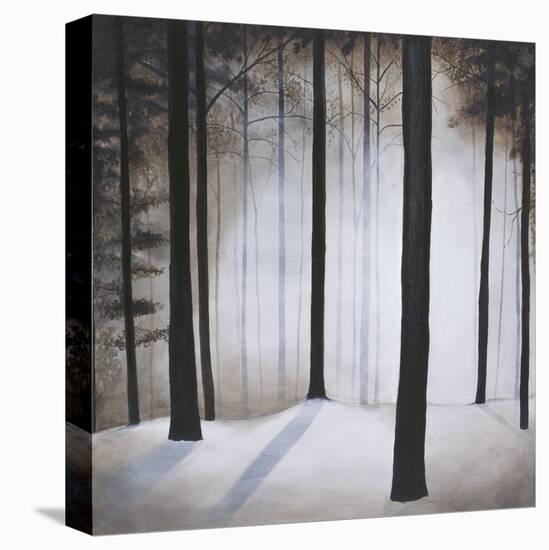 Winter Solace-Patrick St^ Germain-Stretched Canvas