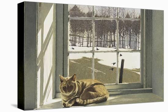 Winter Solace-Ben Watson-Stretched Canvas