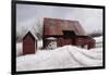 Winter Solace-David Knowlton-Framed Giclee Print