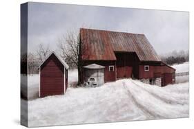 Winter Solace-David Knowlton-Stretched Canvas