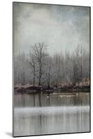 Winter Solitude-Jai Johnson-Mounted Giclee Print