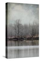 Winter Solitude-Jai Johnson-Stretched Canvas