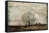 Winter Solstice-Alexys Henry-Framed Stretched Canvas