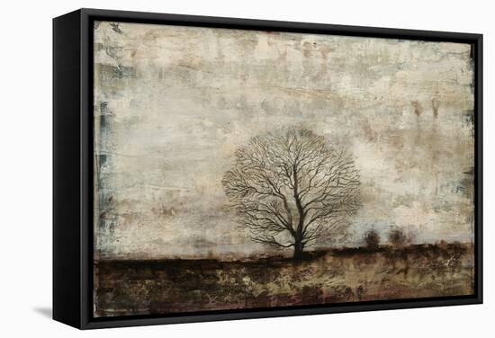 Winter Solstice-Alexys Henry-Framed Stretched Canvas