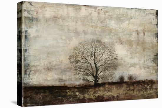 Winter Solstice-Alexys Henry-Stretched Canvas