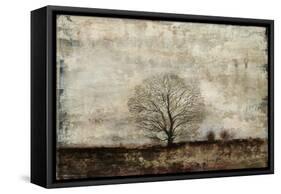 Winter Solstice-Alexys Henry-Framed Stretched Canvas