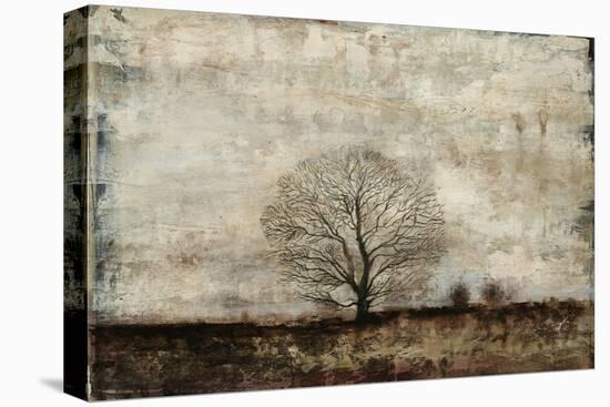 Winter Solstice-Alexys Henry-Stretched Canvas