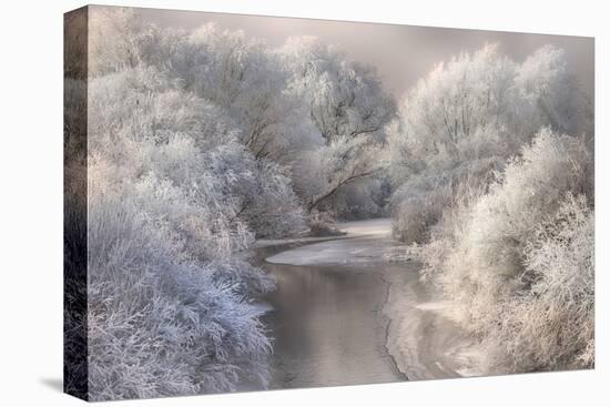 Winter Song-Sebestyen Bela-Stretched Canvas