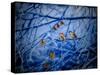 Winter Sparrows, 2020, (composite painting)-Helen White-Stretched Canvas